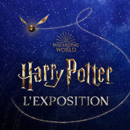 Harry_Potter_Exposition_Paris_Voyages_Descamps